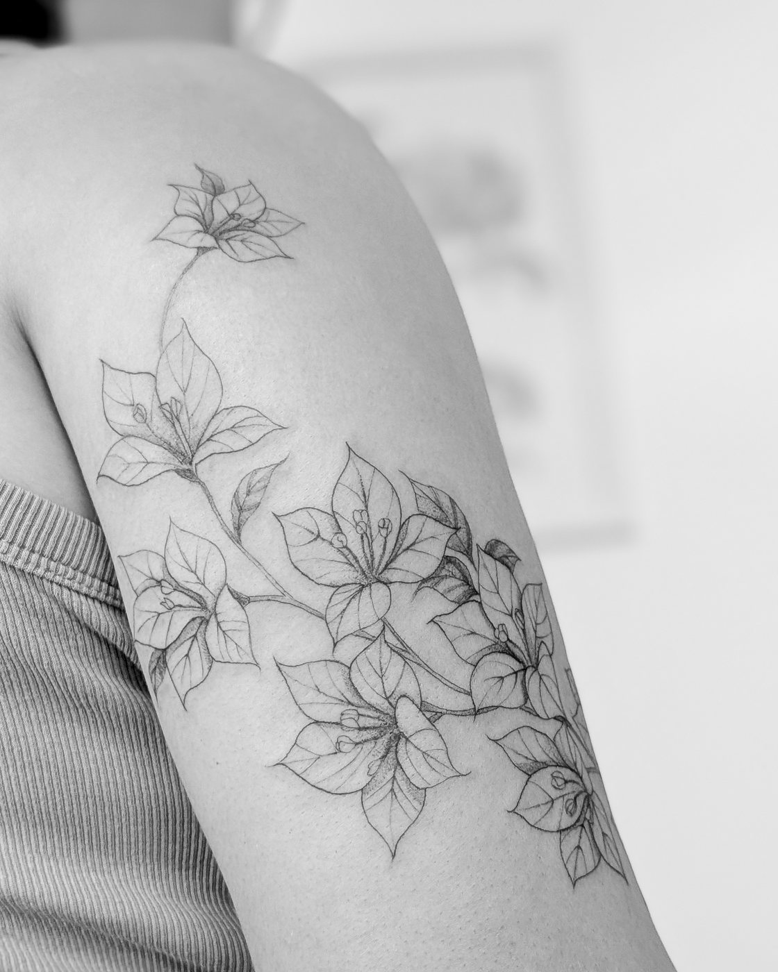 Branche de bougainvillier, bras