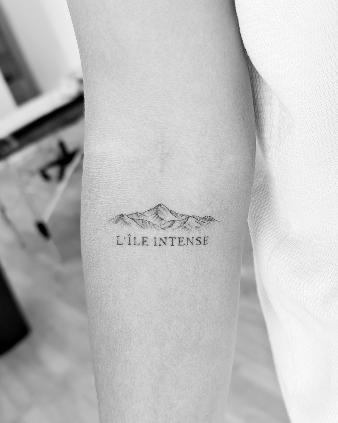 « L'île intense », bras