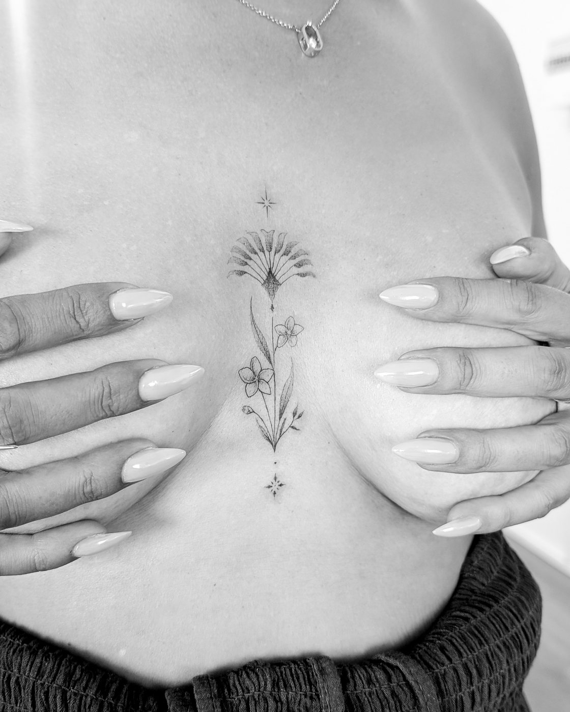 Tige d'arbre du voyageur, sternum
